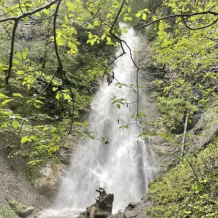 Waltenberghof Çiftlik konaklama