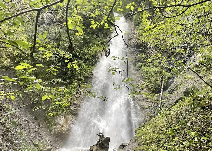 Waltenberghof 农家乐